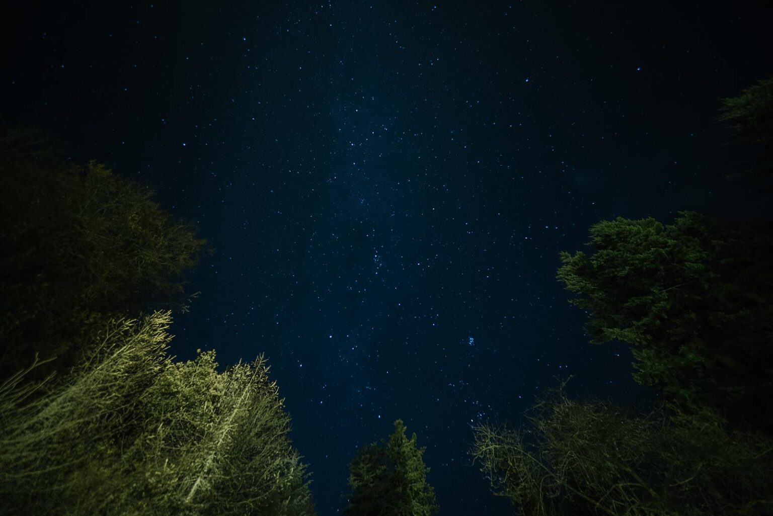 Night stars